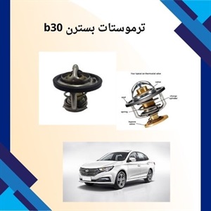 چگونه ترموستات بسترن b30 بخریم؟