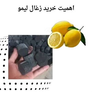 خرید زغال لیمو با کیفیت بالا